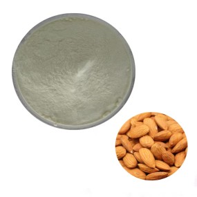 Almond Powder Factory - Wholesale Plant Extract 35% Protein Bulk Supply