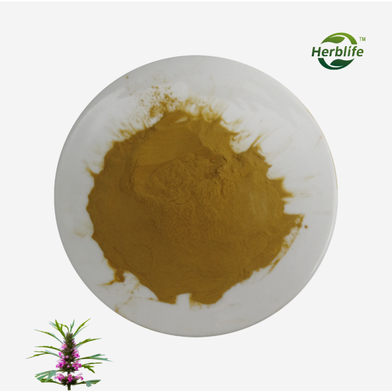 Motherwort Powder Supplier - Wholesale Natural Herbal Extract Yi Mu Cao Powder