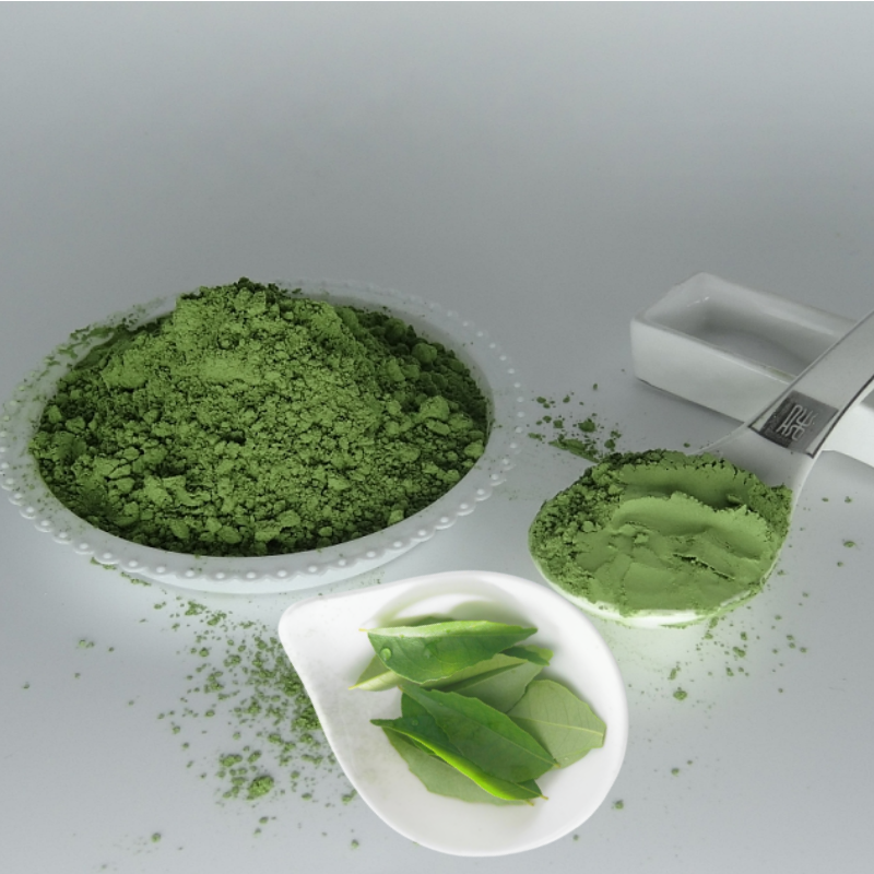 Curry Leaf Powder Supplier - Natural Organic Herbal Extract Cooking Ingredients