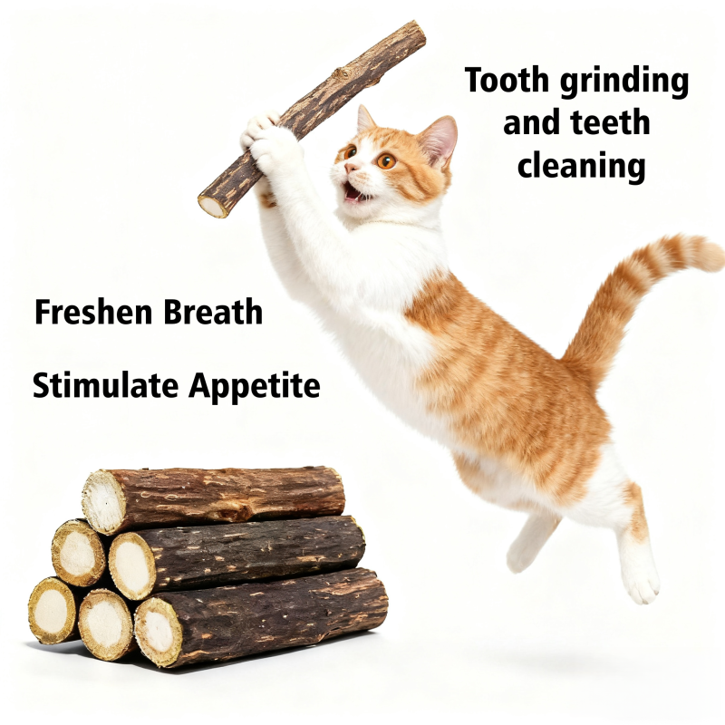 Silver Vine Chew Stick Supplier - OEM Actinidia Polygama Natural Factory Direct