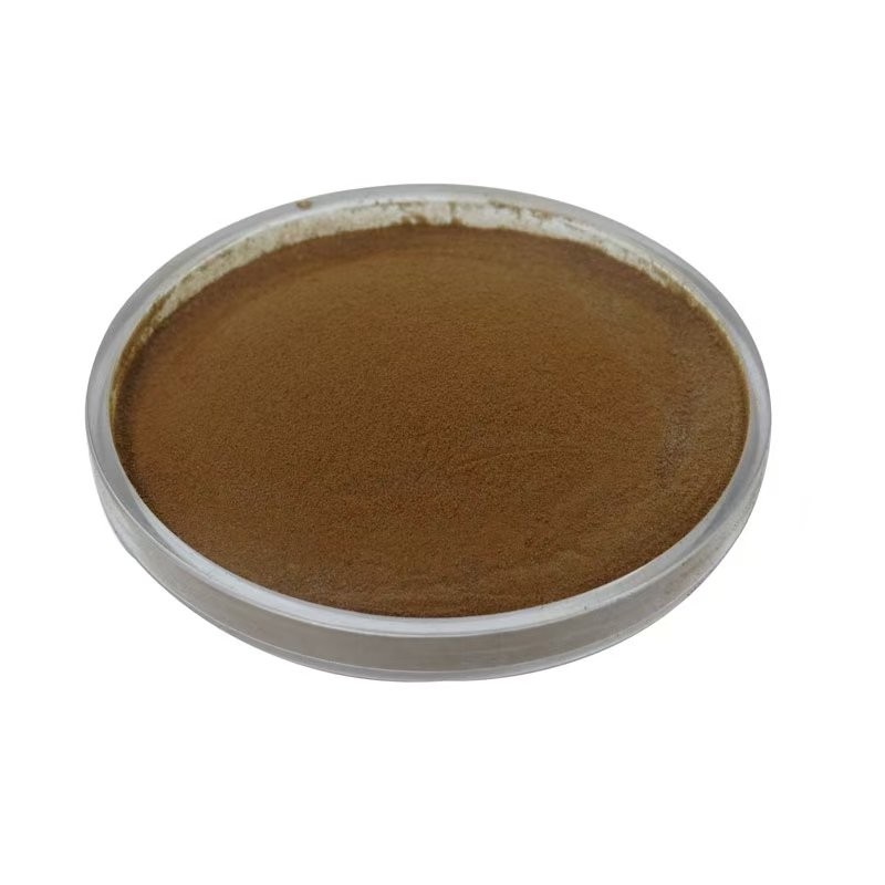 Apocynum Venetum Extract Supplier - OEM/ODM Wholesale Factory Supply Leaf Extract