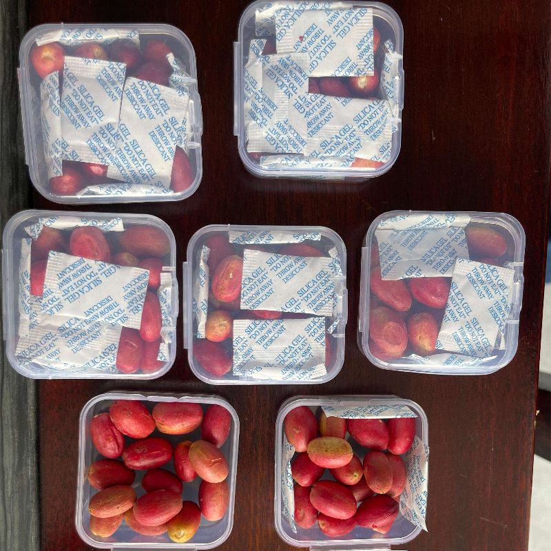 Miracle Fruit Berries Factory - Wholesale Freeze Dried Food Grade Extract Supplement