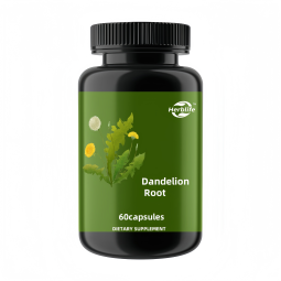 Dandelion Capsule Factory - OEM Private Label Non-GMO Root Extract Liver Health