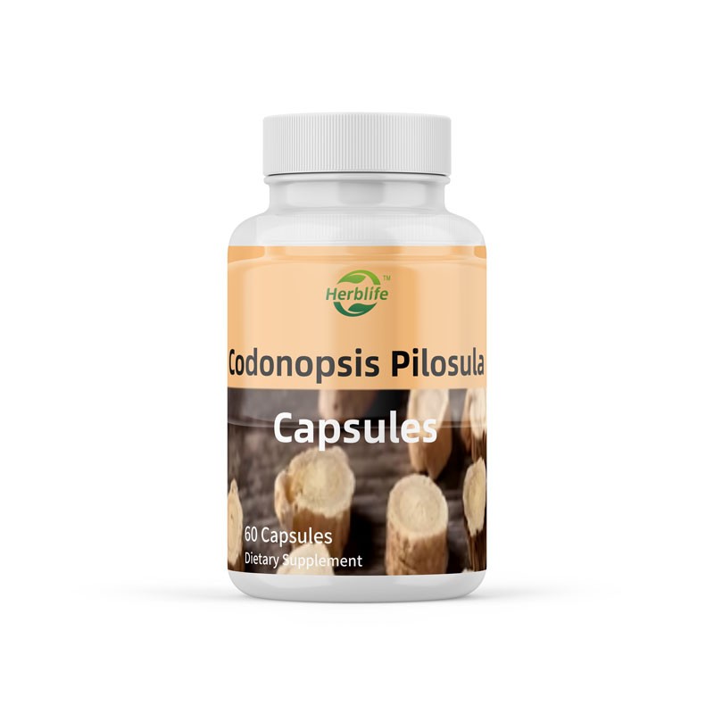Codonopsis Capsules Factory - ODM OEM Natural Herbal Organic for Immune Support
