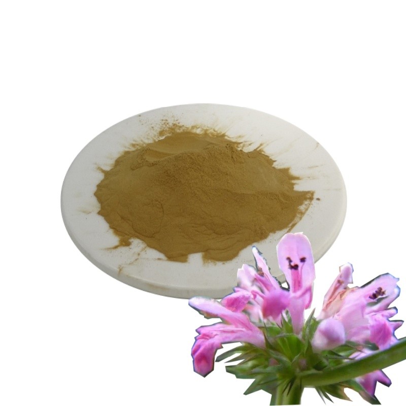 Motherwort Powder Supplier - Wholesale Natural Herbal Extract Yi Mu Cao Powder