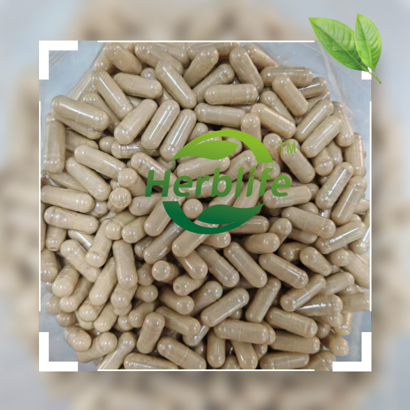 Astragalus Root Capsules Supplier - OEM Extra Strength 20:1 Extract 5000mg Vegetarian