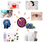 fruit and vegetables extract