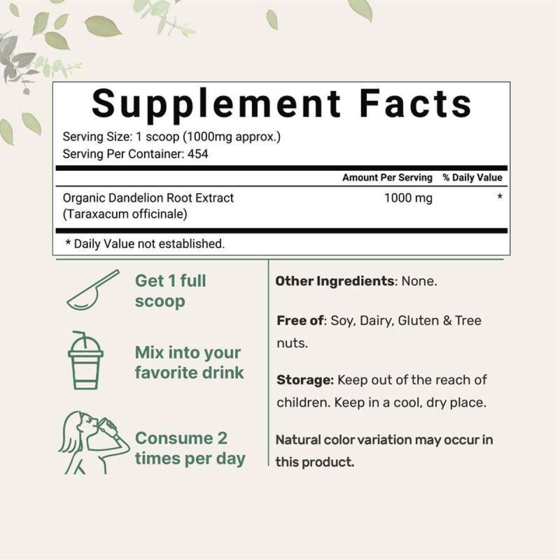 Dandelion Supplement Powder Factory - Magic Nourishing Long Lasting Detox Support