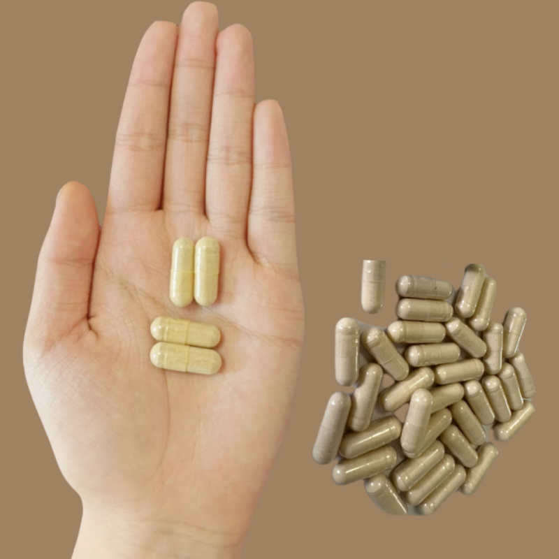 Yucca Root Extract Capsules Factory - 1000mg Pure Gluten-Free Digestive Health