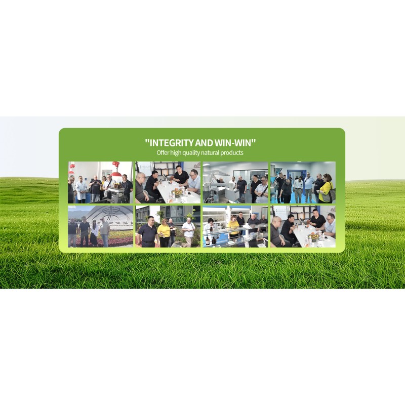 Menopause Capsules Supplier - ODM OEM Hot Sale Women Hormone Regulation Relief