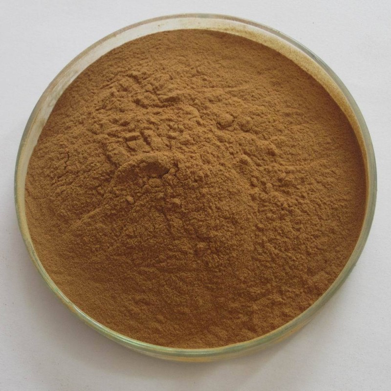 Sacred Mushroom Powder Factory - Organic 7 Blend Lion Mane Cordyceps Chaga Reishi