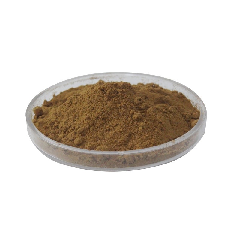 Kakadu Plum Powder Factory - Wholesale High Quality 100% Pure Natural Extract