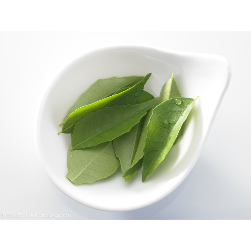 Curry Leaf Powder Supplier - Natural Organic Herbal Extract Cooking Ingredients