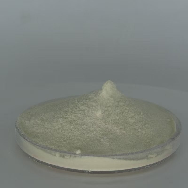 Stevia Extract Powder Manufacturer - OEM/ODM Wholesale 25KG Bulk Organic Food Grade