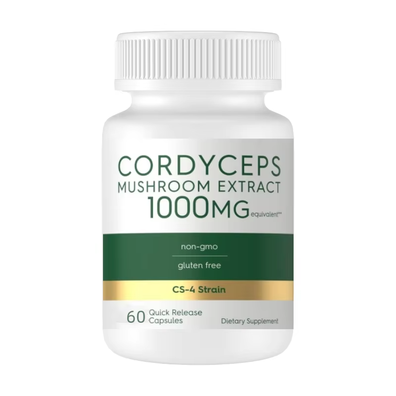 Cordyceps Capsules Manufacturer - Natural Pure for Energy Immune Support
