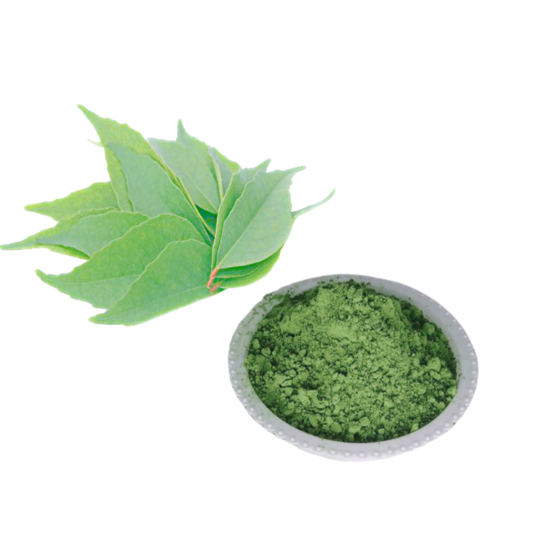 Curry Leaf Powder Supplier - Natural Organic Herbal Extract Cooking Ingredients