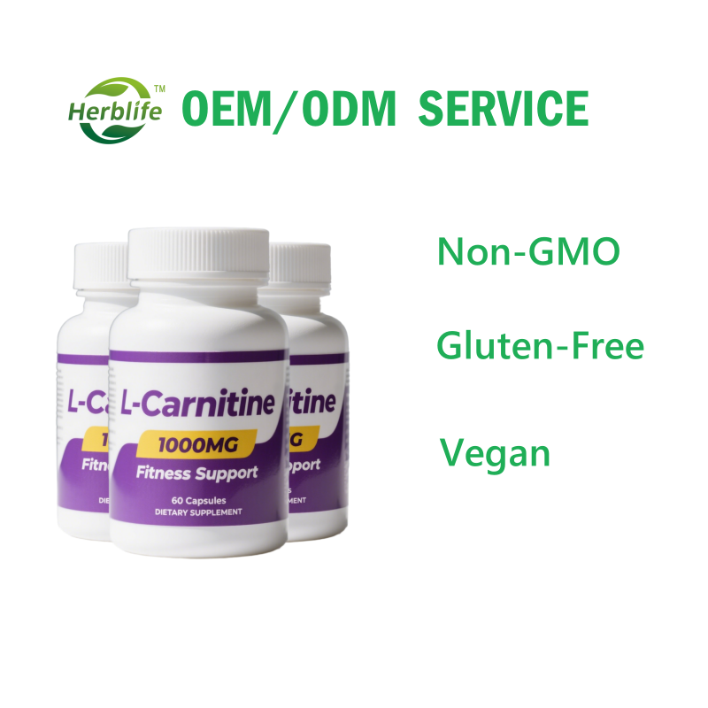 L-Carnitine Capsules Manufacturer - Wholesale 1000mg Gluten Free Fitness Support