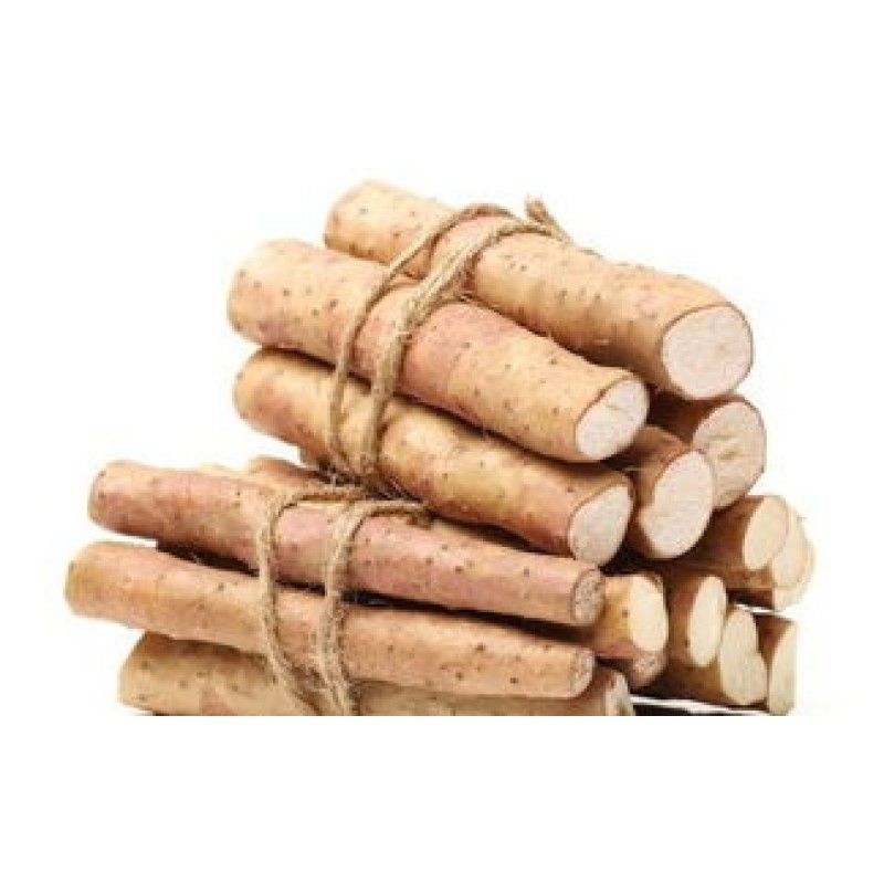 Wild Yam Capsules Manufacturer - Wholesale Organic for Women Wellness Vitality