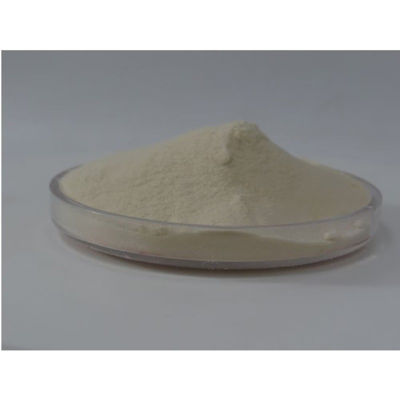 Stevia Extract Powder Manufacturer - OEM/ODM Wholesale 25KG Bulk Organic Food Grade