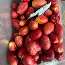 Miracle Fruit Berries Factory - Wholesale Freeze Dried Food Grade Extract Supplement