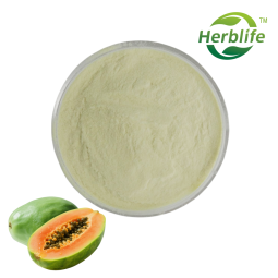 Papaya Powder Supplier - Wholesale High Quality 100% Natural Freeze Dried