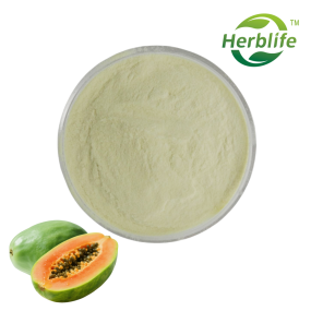 Papaya Powder Supplier - Wholesale High Quality 100% Natural Freeze Dried
