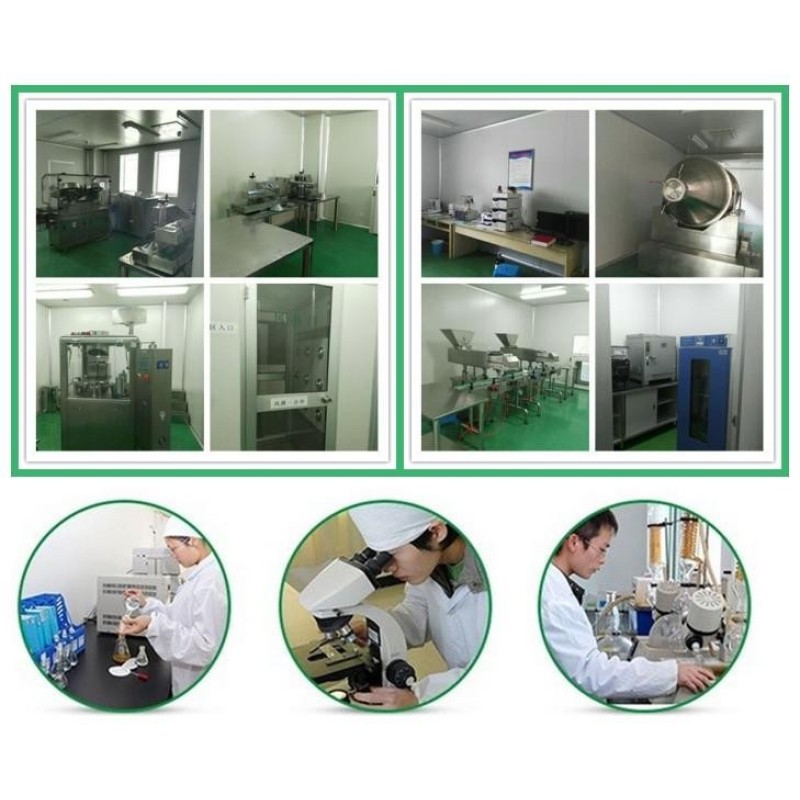 Blueberry Leaf Extract Supplier - High Quality Freeze-Dried Wild Herbal Extract