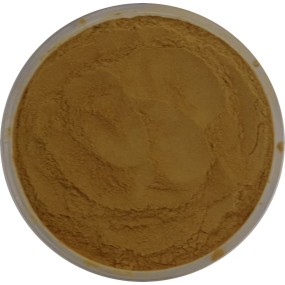 Shatavari Extract Powder Supplier - OEM/ODM Factory Supply Asparagus Racemosus