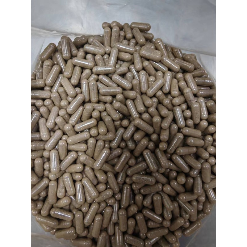 Moringa Powder Capsules Supplier - Vegetarian Antioxidant Extra Strength Capsules