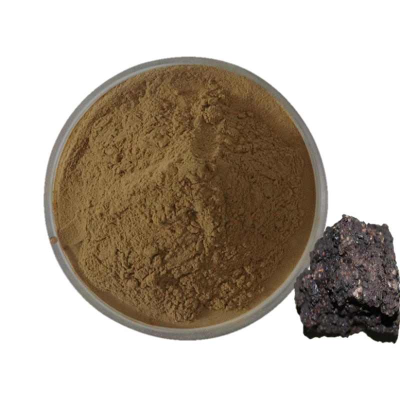 Shilajit Capsules Manufacturer - OEM/ODM Pure Extract Immune System Enhancer