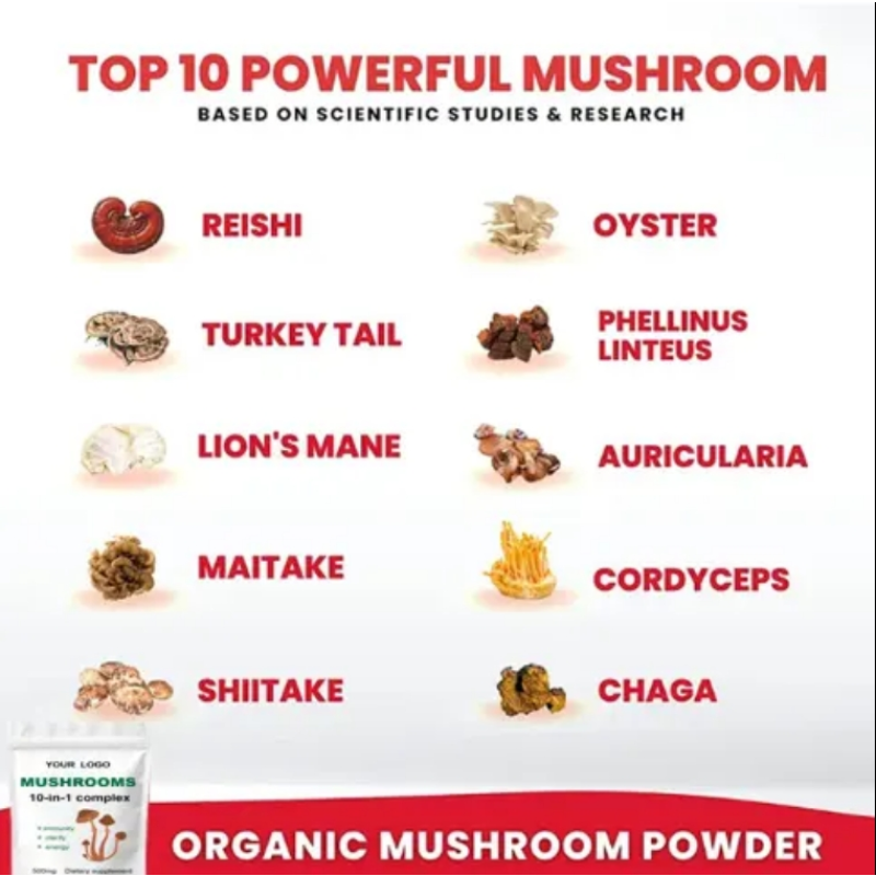 Mushroom Powder Complex Supplier - 10-in-1 Lions Mane Reishi Shiitake Chaga Blend