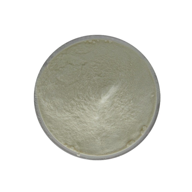 Almond Powder Factory - Wholesale Plant Extract 35% Protein Bulk Supply