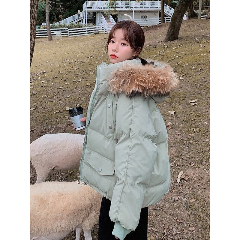 Seamless Panties Supplier - Breathable Low-Waist U-Shaped Belly Lift