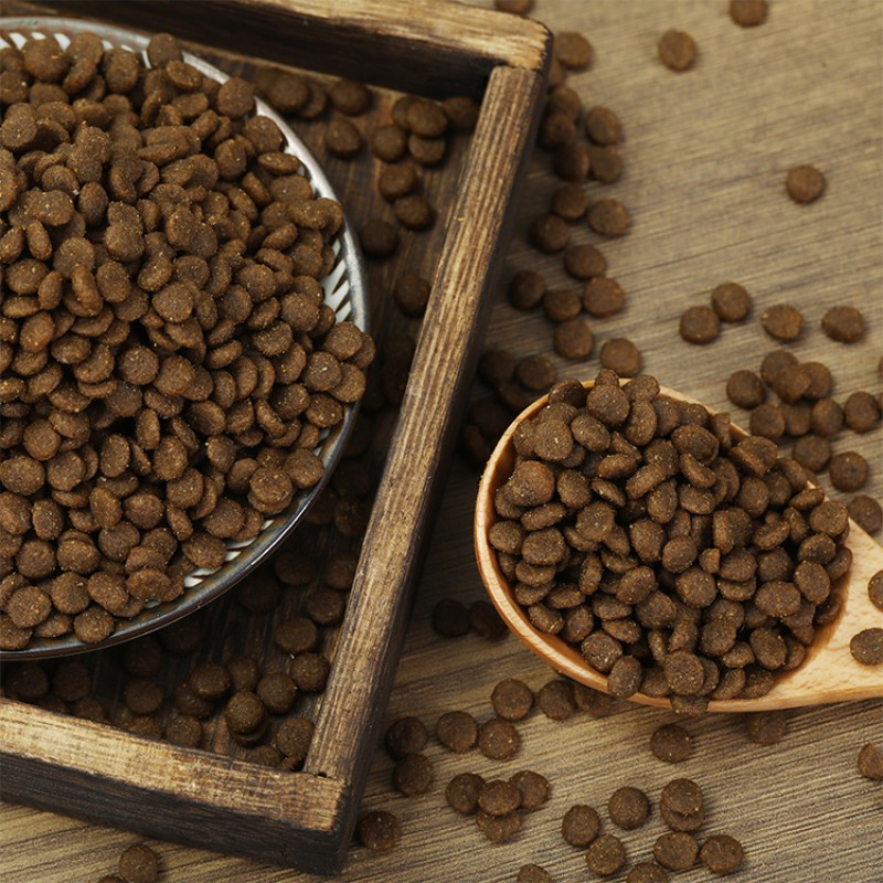 Cat Food Supplier - High Protein Environmental Protection OEM from China