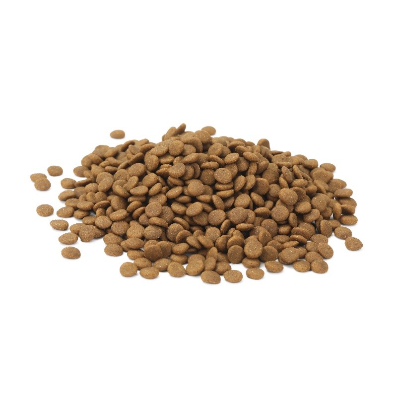 Dry Puppy Food Supplier - Lowest Price Adult Dog Food with Probiotics