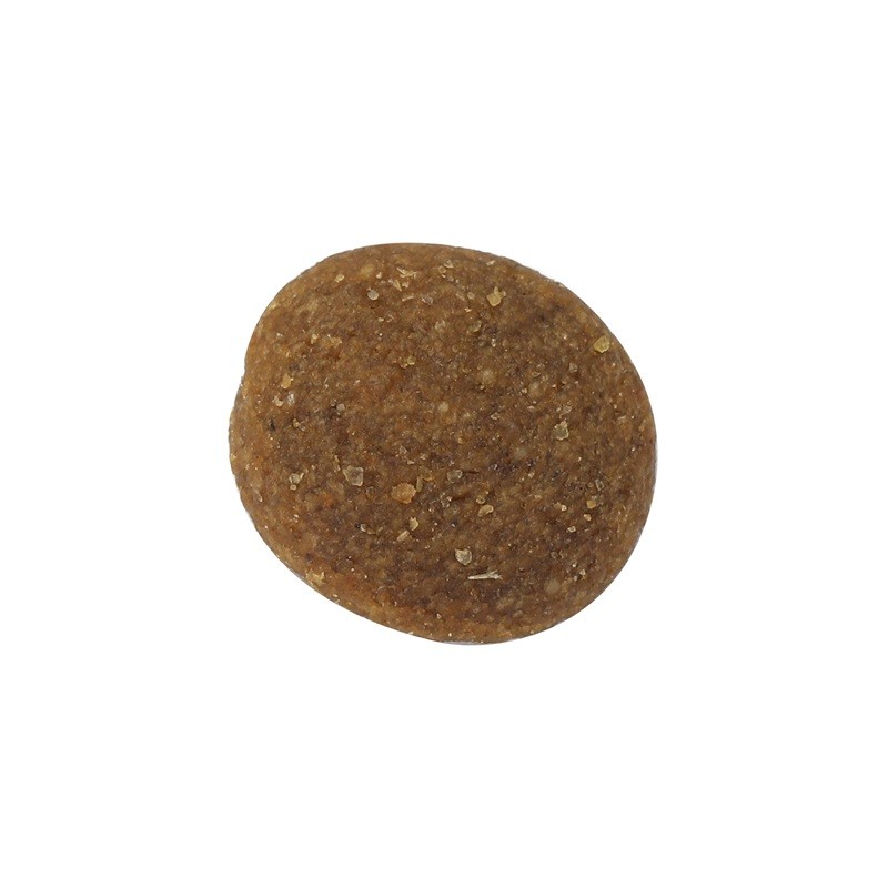 Dog Food Factory - Bulk Large Adult Universal Dry Food Processing Plant