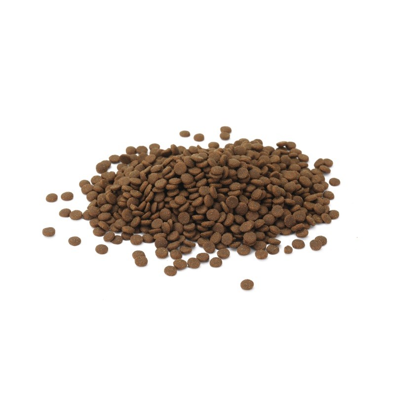 Pet Food Supplier - High Quality Good Price Brown Seeds Dry Dog Cat Food
