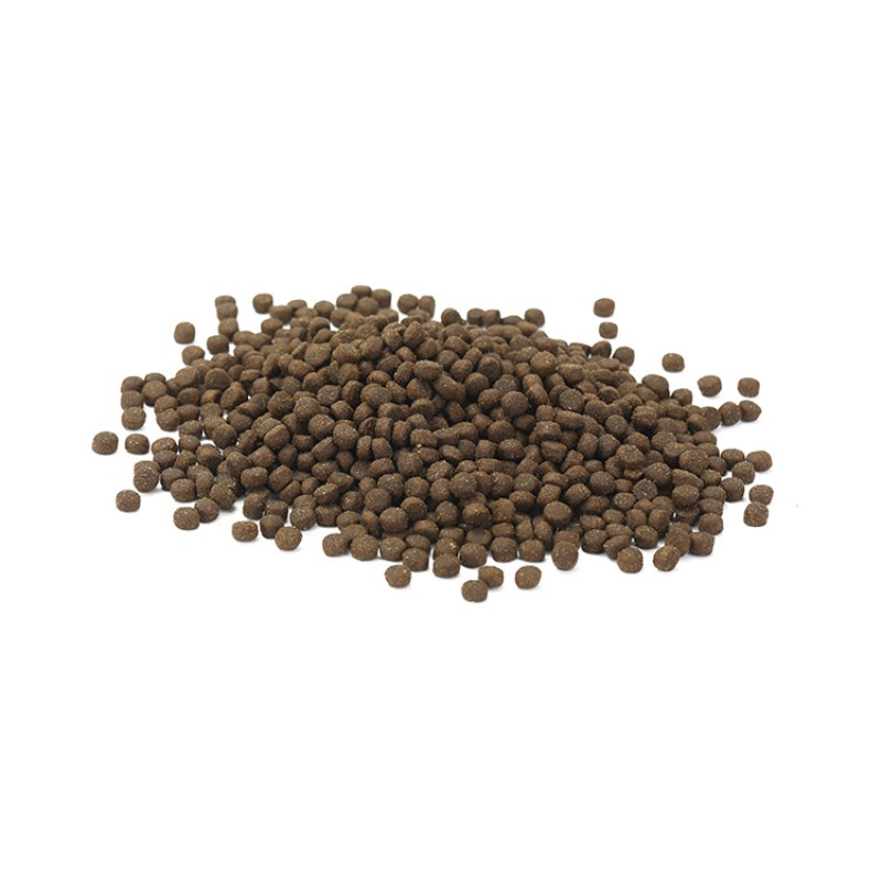 Pet Food Factory - Wholesale High Protein Chicken Duck Meat Dehydrated