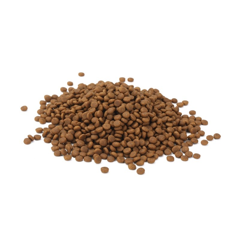 Dog Food Supplier - Wholesale Direct Price Organic Beef Flavored Probiotic