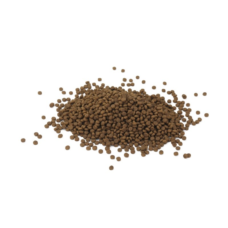 Pet Food Manufacturer - High Absorption Easy Digestion Beef Flavor Dry Food
