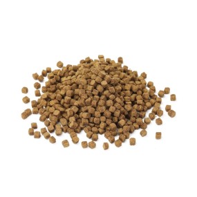 Pet Treats Supplier - Premium Natural Custom Dry Snack OEM Supplement