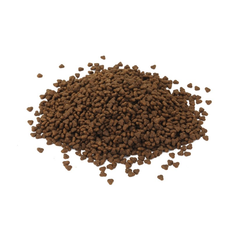 Animal Feed Supplier - All Life Stage High Meat Protein Cheap Cat Food