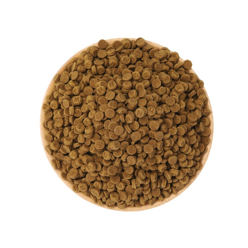 Baked Cat Food Factory - Easy to Absorb and Digest Low-temperature Baked