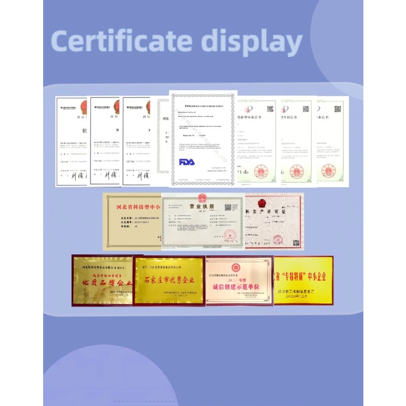 Pet Food Factory - High Quality Supplier Healthy Organic 20kg Dry Cat Food