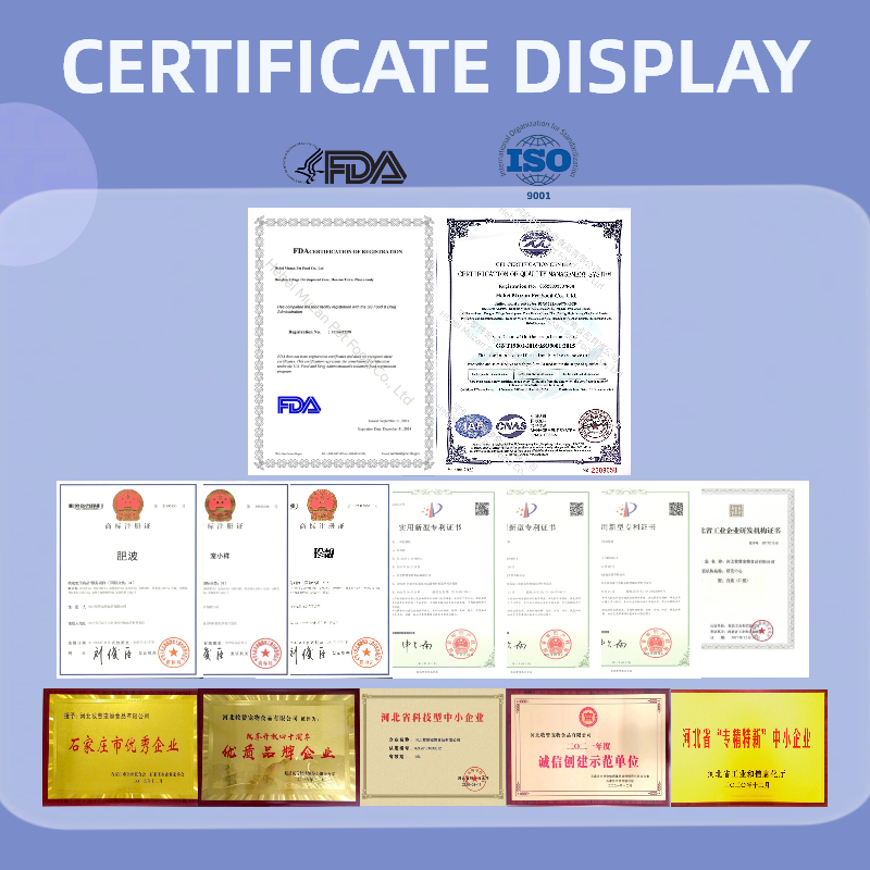 Pet Food Supplier - OEM ODM Factory Wholesale High Protein Cat Dog Food