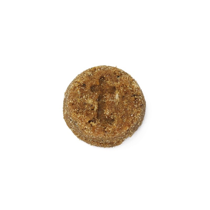 Baked Pet Food Manufacturer - OEM Healthy Nutritious Ingredients Direct Factory