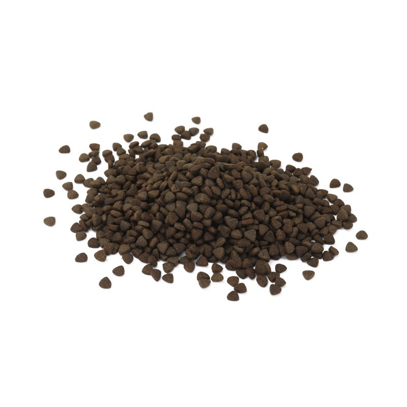 Pet Food Supplier - China Manufacturer Low Price Dry Dog Food Bulk Wholesale