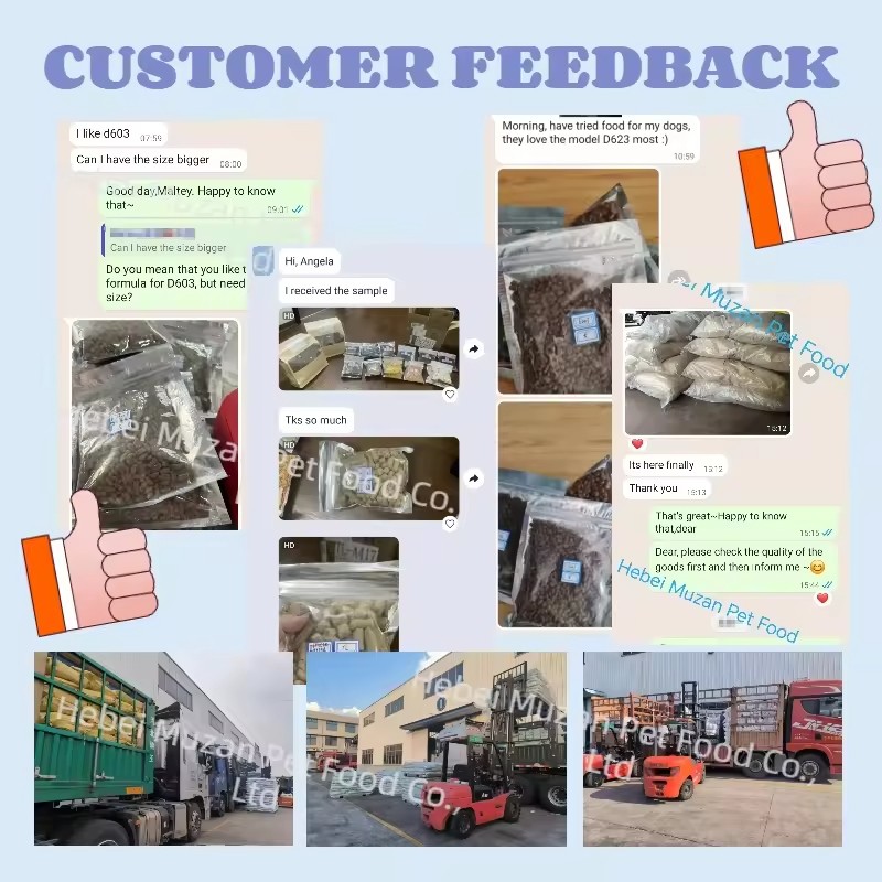 Cat Litter Manufacturer - OEM Strong Clumping Easy Clean 100% Natural