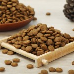 Dry Dog Food