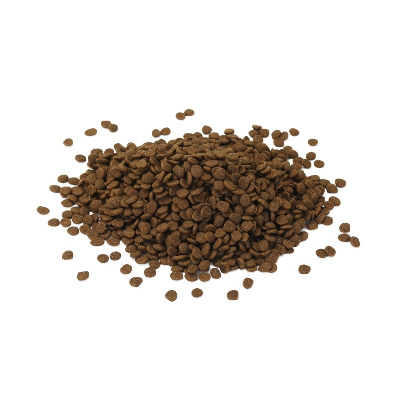 Cat Dry Food Factory - Best-selling High Quality High Protein Fat Cat Food